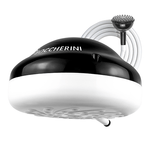 DUCHA PREMIUM ZENT CON MANGUERA NEGRA 110V